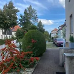 Simply * Borna